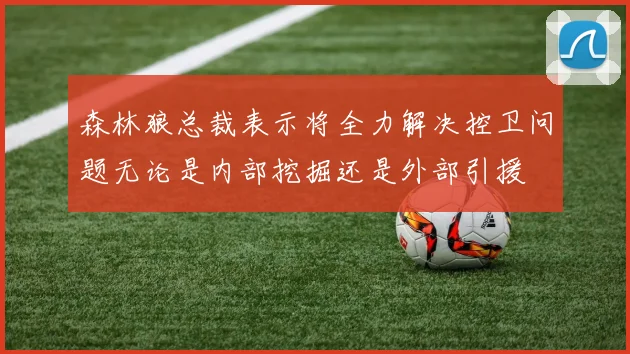 森林狼总裁表示将全力解决控卫问题无论是内部挖掘还是外部引援